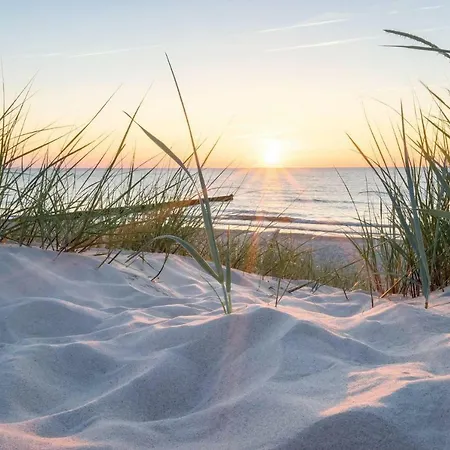 Daire White Pearl 1.11