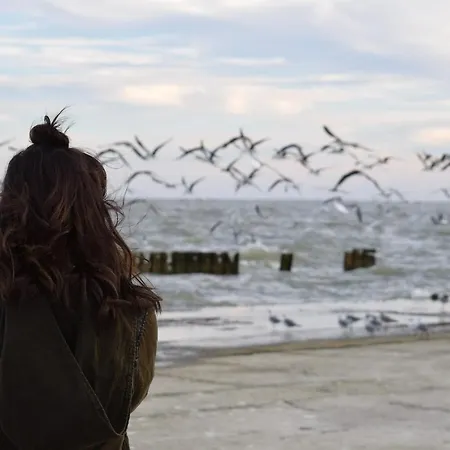 White Pearl 1.11 * Timmendorfer Strand